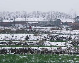 2015年2月上映的高分电影汇总,【必看推荐】建议收藏