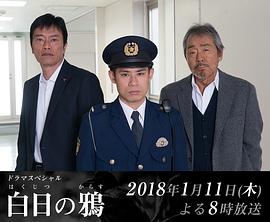 2018年1月播出的高分电视剧汇总,你追过哪部?