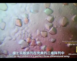 2015年11月上映的高分电影汇总,【必看推荐】建议收藏