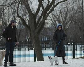 2012年5月播出的高分电视剧汇总,你追过哪部?