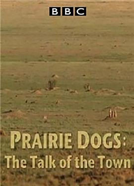 2010年7月上映的高分电影汇总,【必看推荐】建议收藏