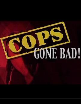 警官，你学坏了