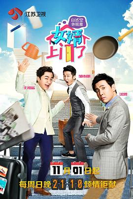 2015年11月播出的高分电视剧汇总,你追过哪部?