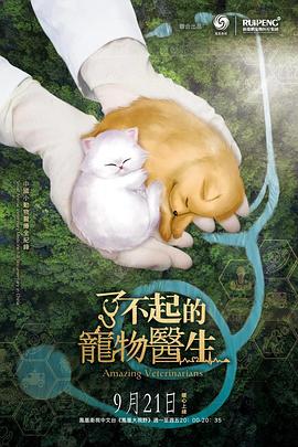 2020年9月播出的高分电视剧汇总,你追过哪部?