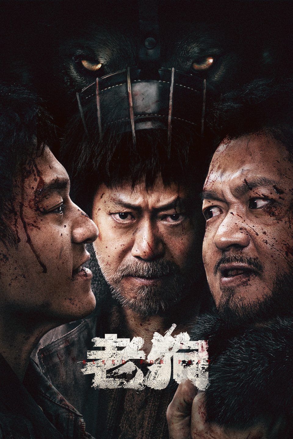 2025年3月上映的高分电影汇总,【必看推荐】建议收藏