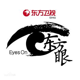 2015年1月播出的高分电视剧汇总,你追过哪部?