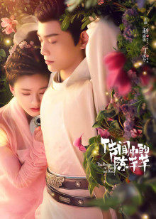 2020年5月播出的高分电视剧汇总,你追过哪部?