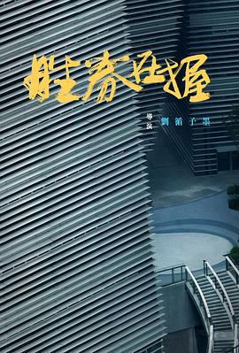 2024年11月上映的高分电影汇总,【必看推荐】建议收藏