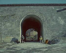 2016年11月播出的高分电视剧汇总,你追过哪部?