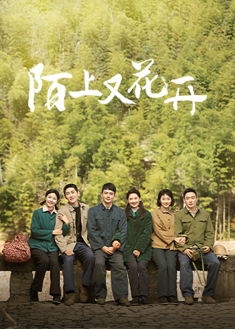 2025年2月播出的高分电视剧汇总,你追过哪部?