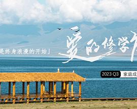 2023年11月播出的高分电视剧汇总,你追过哪部?