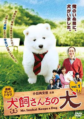 2011年1月播出的高分电视剧汇总,你追过哪部?