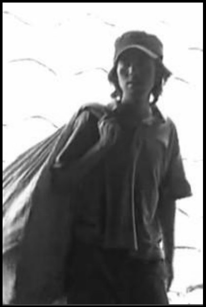 2010年11月上映的高分电影汇总,【必看推荐】建议收藏