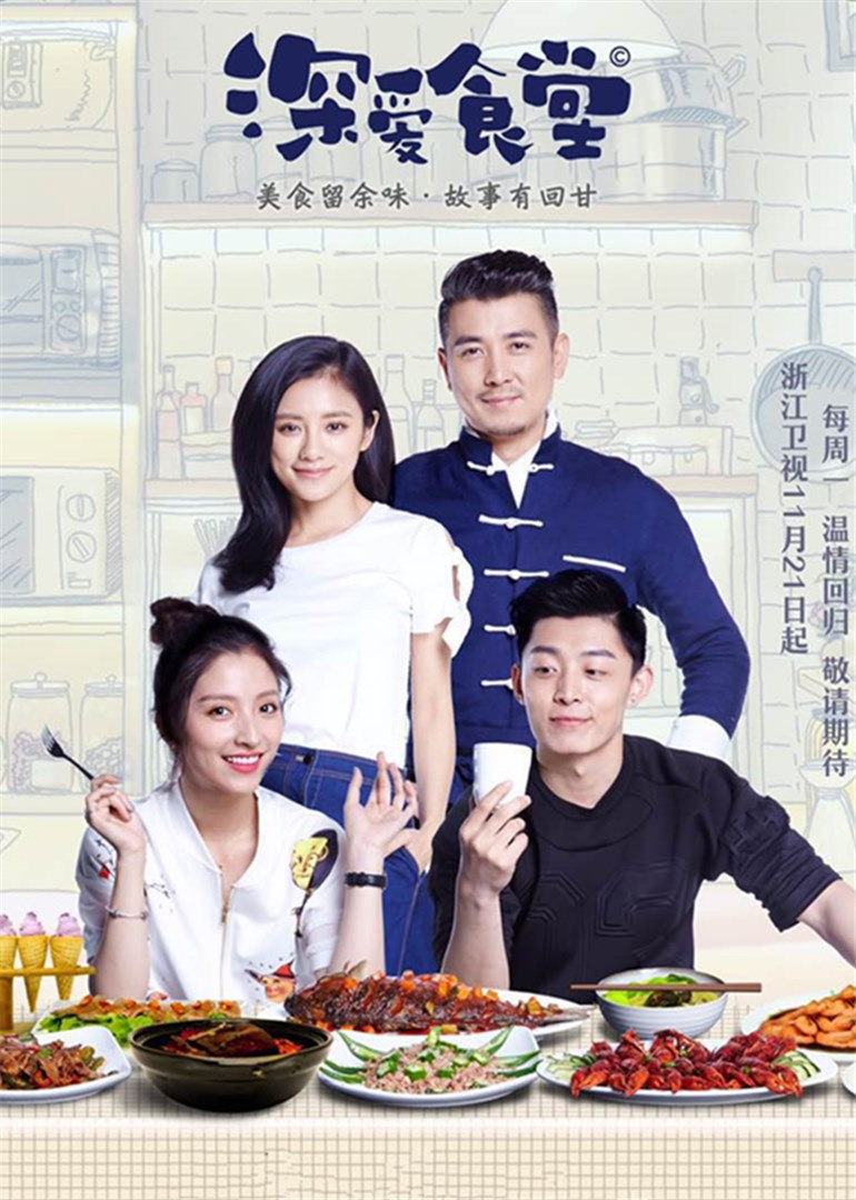 2016年11月播出的高分电视剧汇总,你追过哪部?