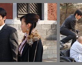 2010年2月播出的高分电视剧汇总,你追过哪部?