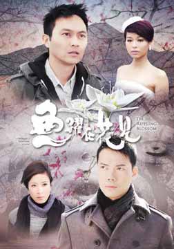 2011年2月上映的高分电影汇总,【必看推荐】建议收藏