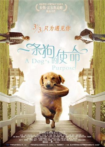 2017年3月上映的高分电影汇总,【必看推荐】建议收藏