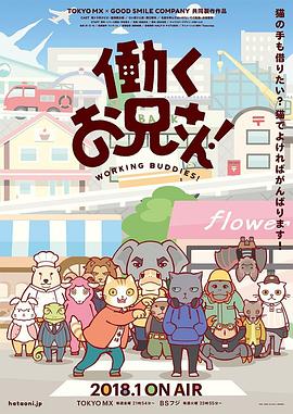 2018年1月上映的高分电影汇总,【必看推荐】建议收藏