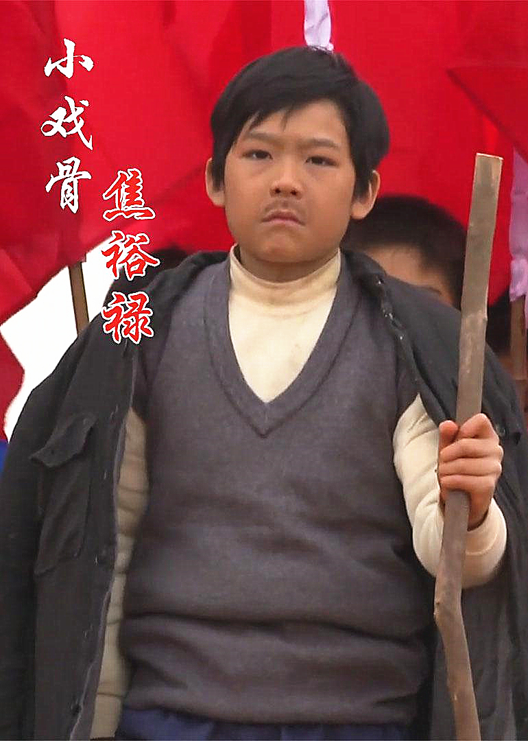 2016年11月播出的高分电视剧汇总,你追过哪部?