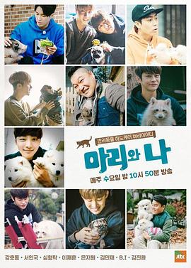 2015年12月上映的高分电影汇总,【必看推荐】建议收藏