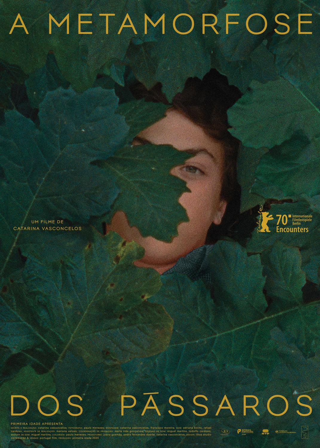 2020年2月上映的高分电影汇总,【必看推荐】建议收藏