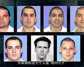 2015年12月上映的高分电影汇总,【必看推荐】建议收藏