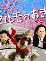 2011年4月上映的高分电影汇总,【必看推荐】建议收藏