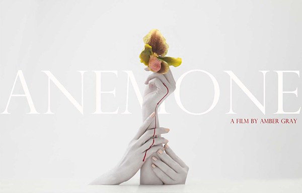 2012年5月上映的高分电影汇总,【必看推荐】建议收藏