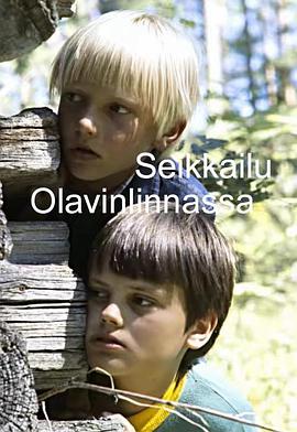 Seikkailu Olavinlinnassa