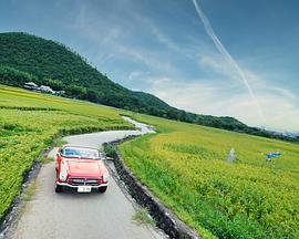 2023年3月播出的高分电视剧汇总,你追过哪部?