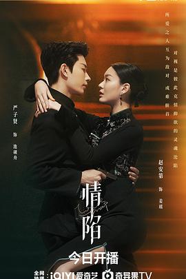 2024年12月播出的高分电视剧汇总,你追过哪部?