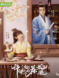 2021年11月播出的高分电视剧汇总,你追过哪部?