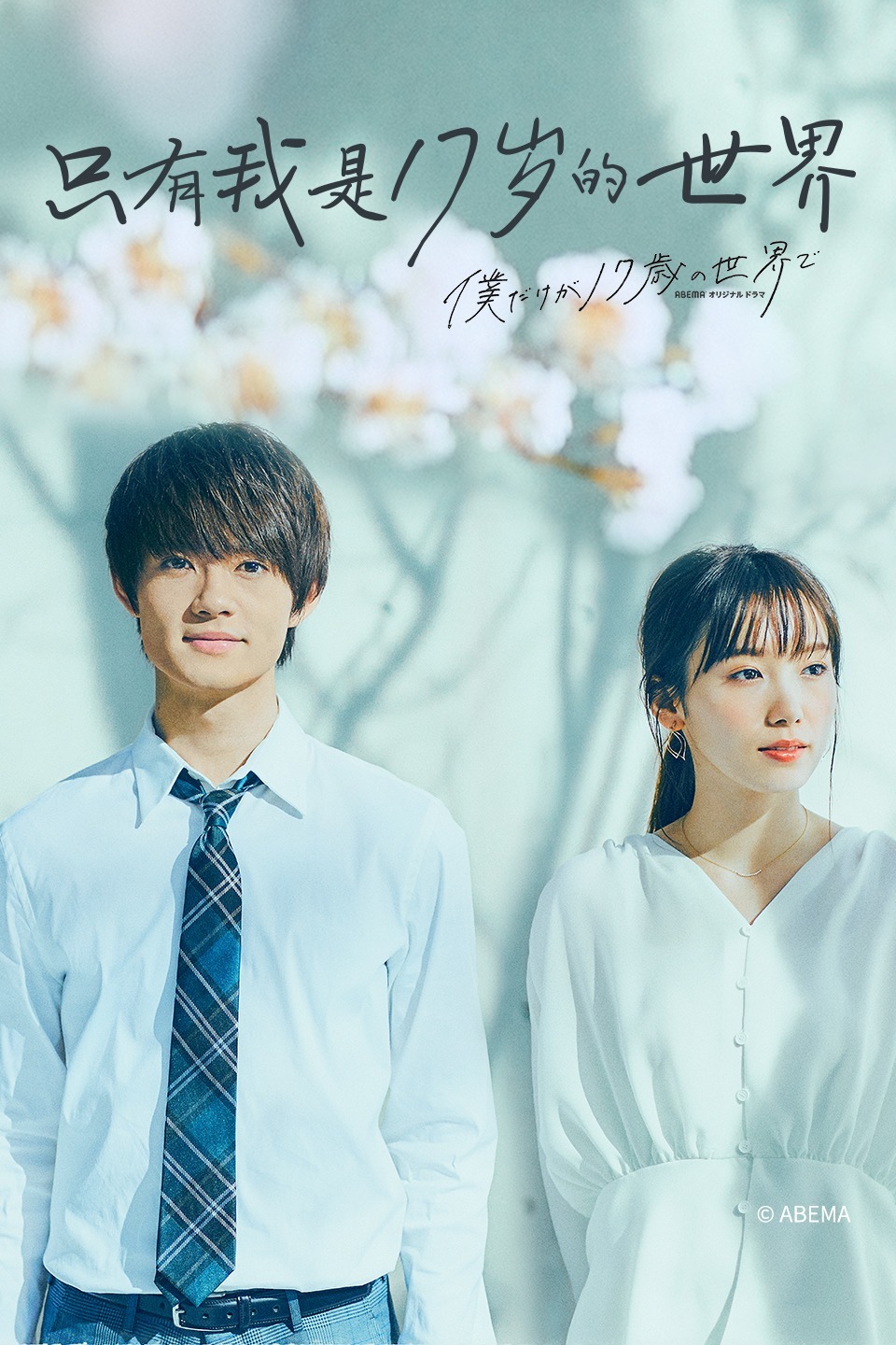 2020年2月播出的高分电视剧汇总,你追过哪部?