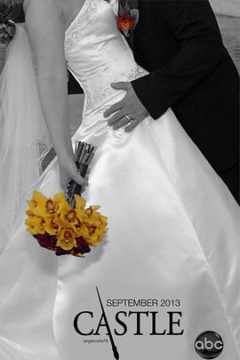 2013年9月播出的高分电视剧汇总,你追过哪部?