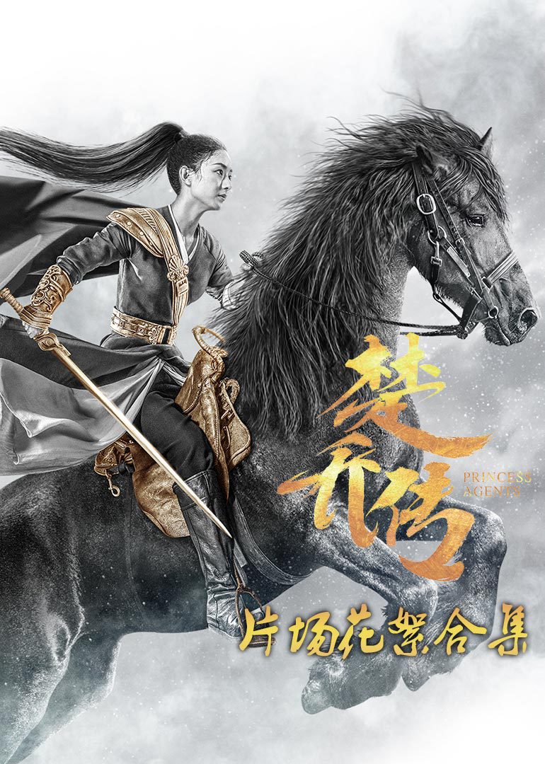 2017年6月播出的高分电视剧汇总,你追过哪部?