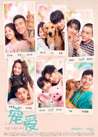 2020年1月全国电影票房22.46亿！《宠爱》5.1亿占比22.7%