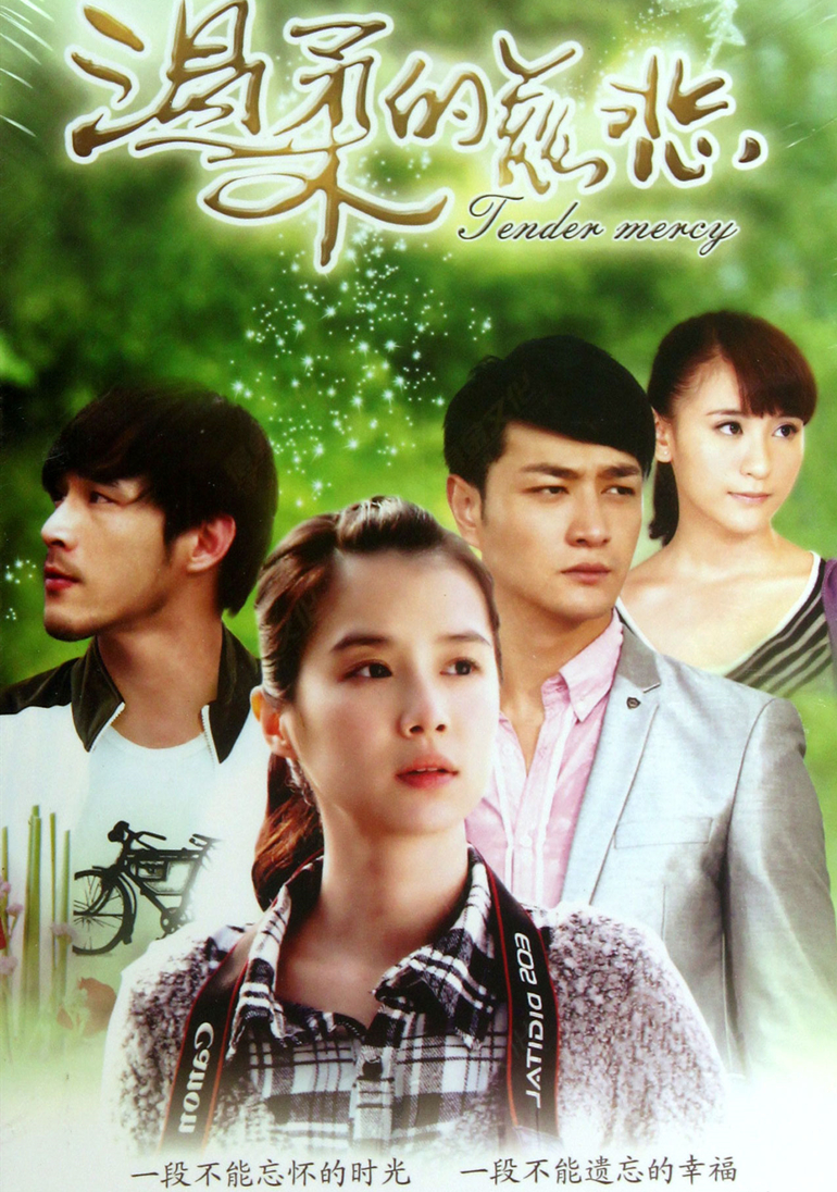 2012年1月播出的高分电视剧汇总,你追过哪部?