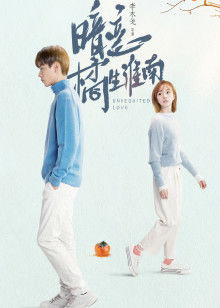 2021年1月播出的高分电视剧汇总,你追过哪部?