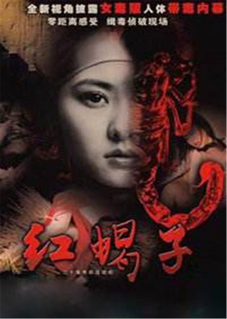 2011年2月播出的高分电视剧汇总,你追过哪部?