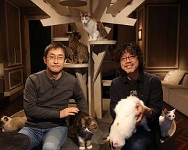 2017年3月上映的高分电影汇总,【必看推荐】建议收藏