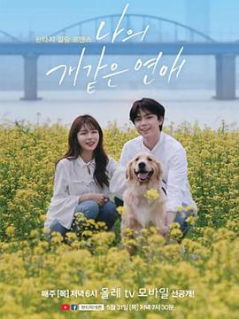 2018年5月播出的高分电视剧汇总,你追过哪部?