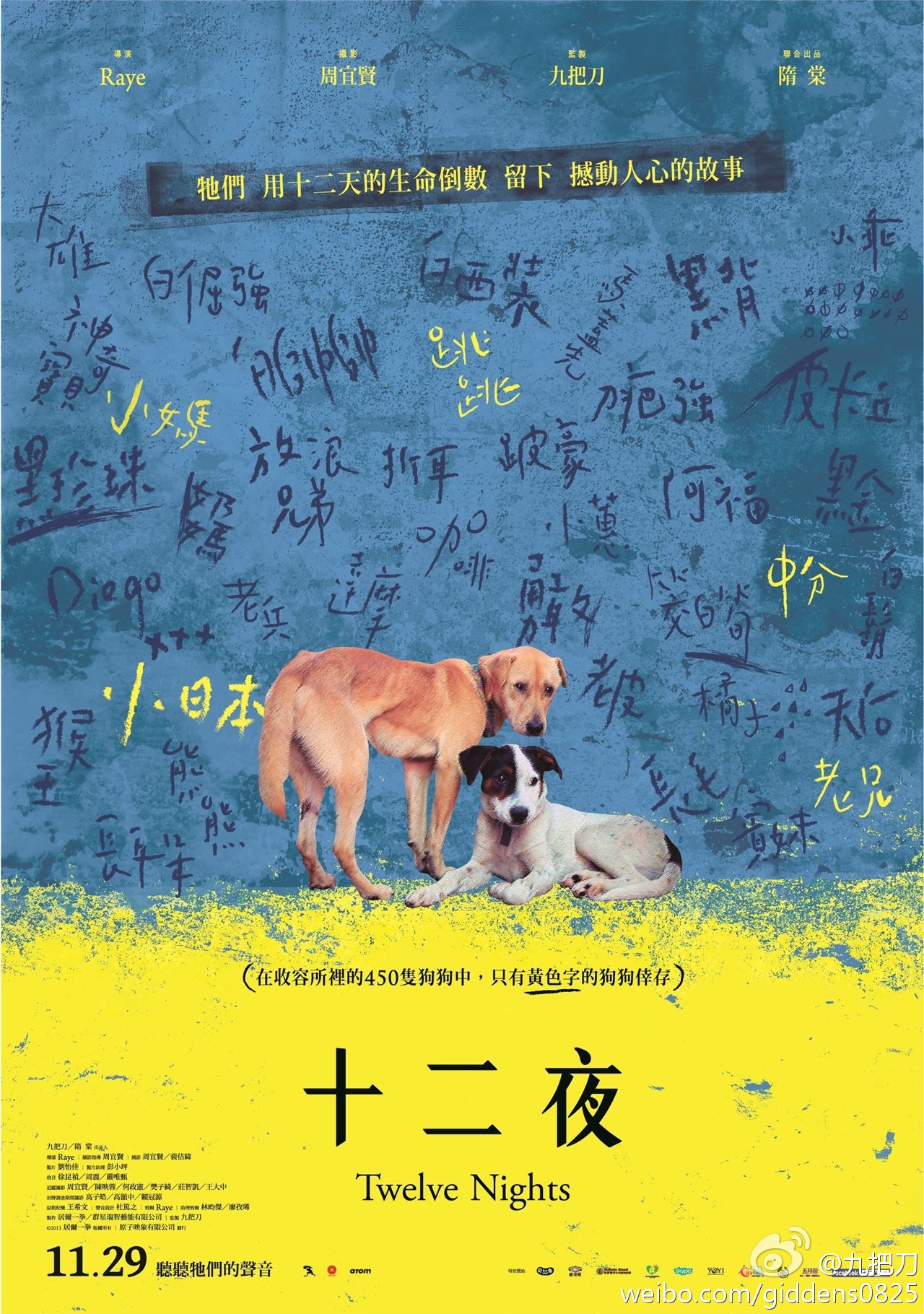 2013年11月上映的高分电影汇总,【必看推荐】建议收藏